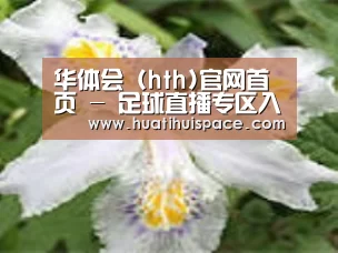 产品名称二