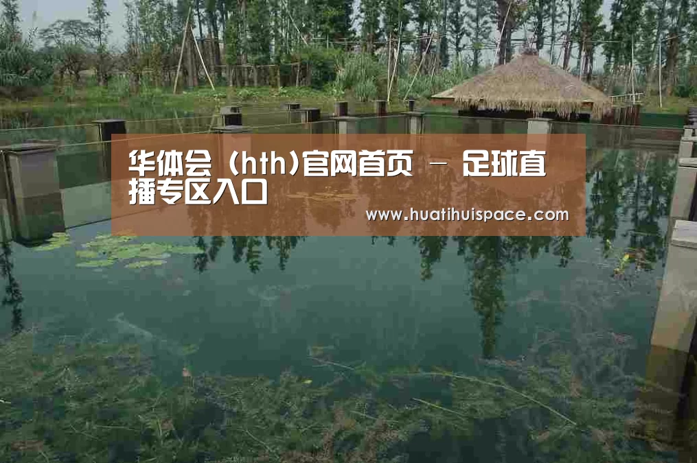 案例展示二