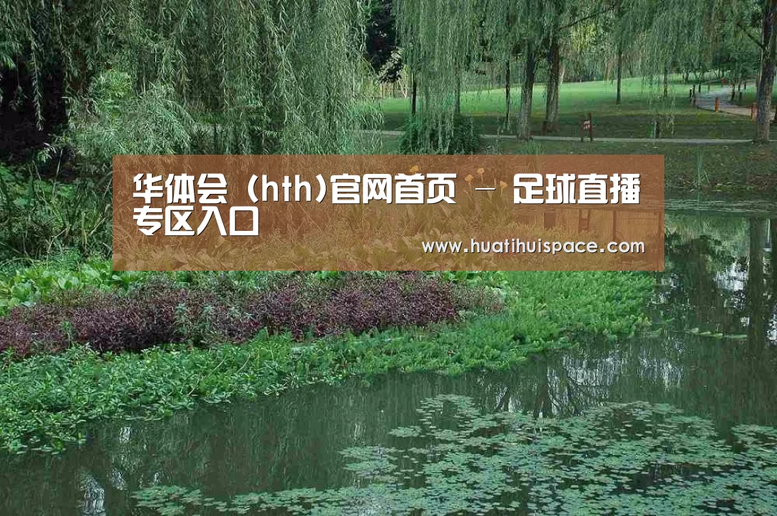 案例展示一