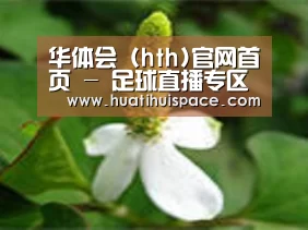 产品名称三