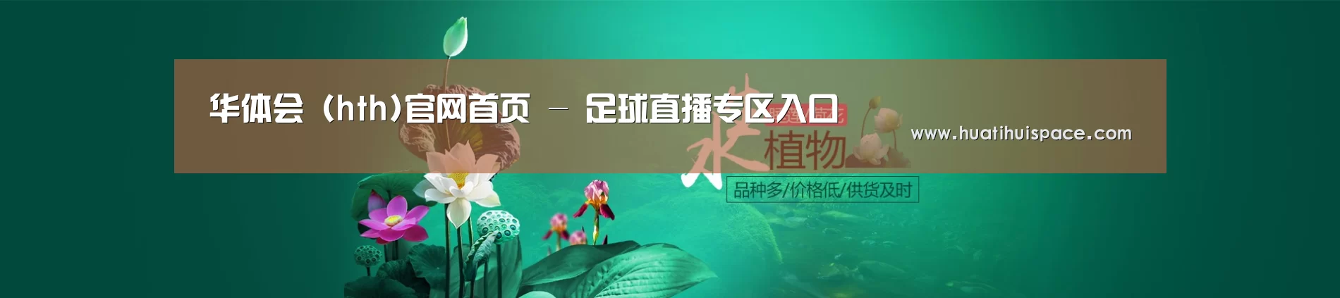 鲜花水草花卉网站模板