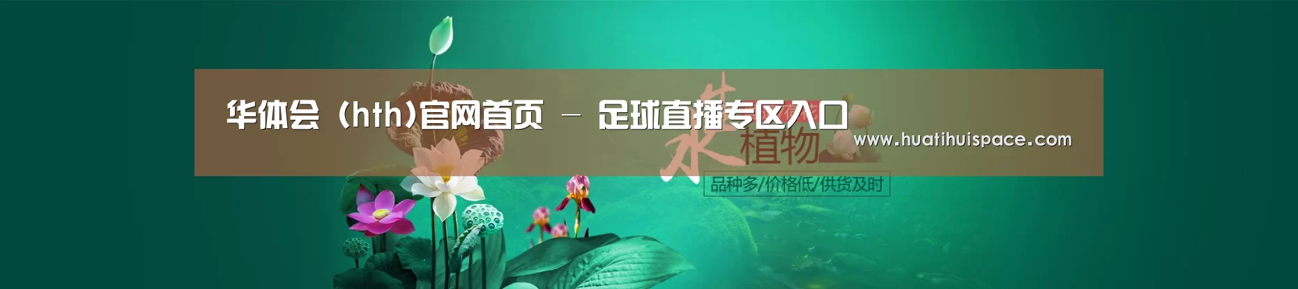 鲜花水草花卉网站模板