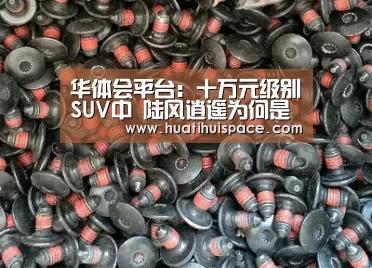 华体会平台：十万元级别SUV中 陆风逍遥为何是年轻人的首选(图4)