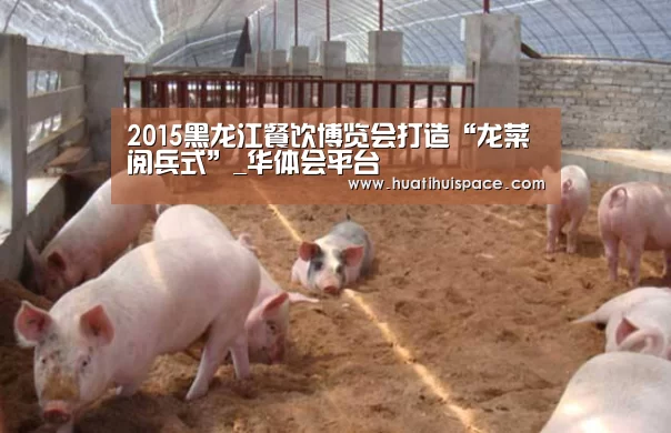 华体会足球